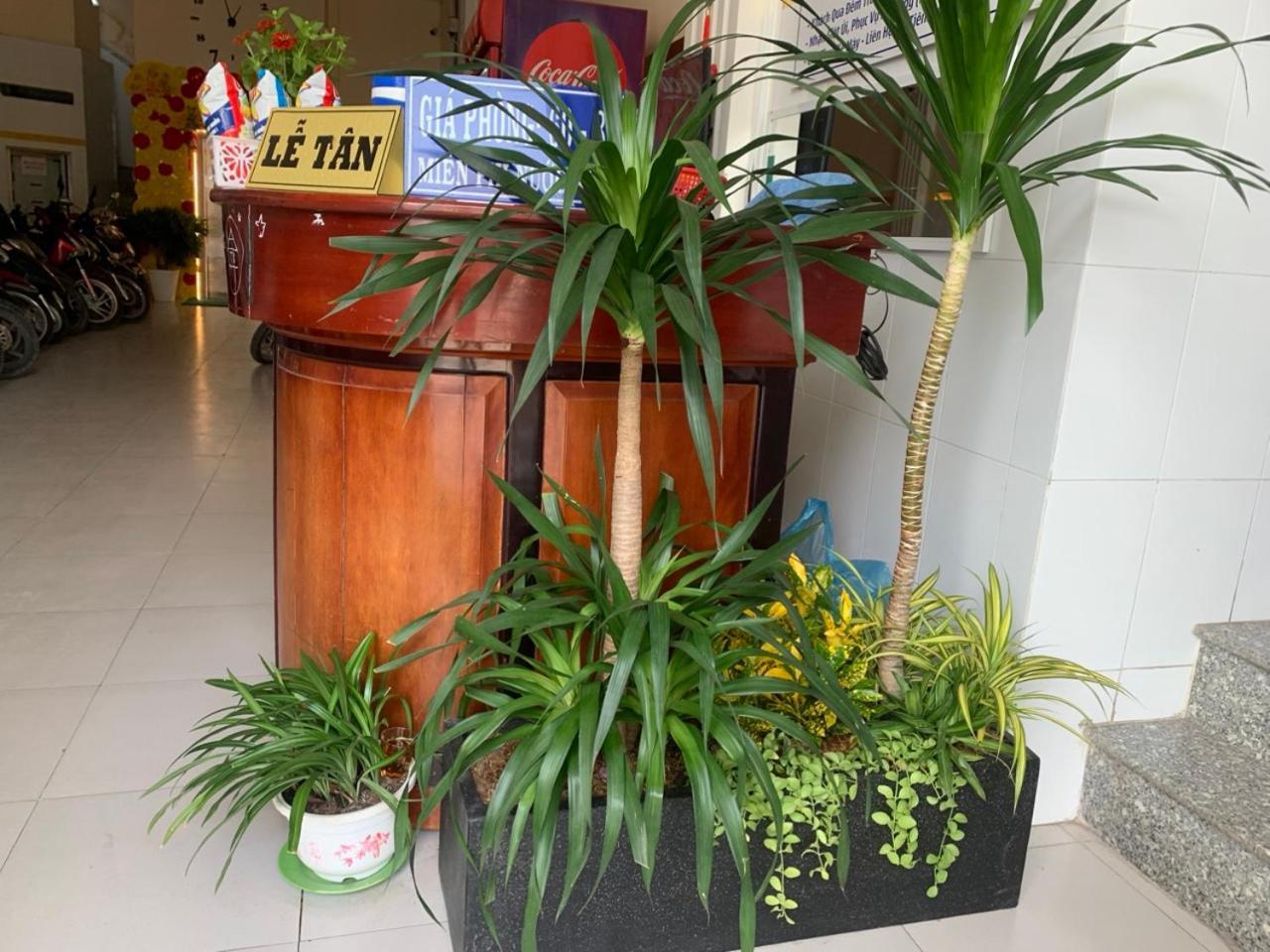Nha Nghi Thanh Xuan- Co Cho Thue Xe May Va Xuat Hoa Don Ap Dong An 外观 照片